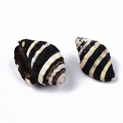 Cuentas de concha de caracol naturales, perlas sin perforar / sin orificios