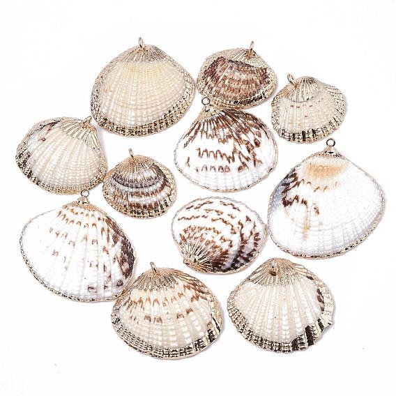 Electroplate Sea Shell Pendants, with Iron Findings, Light Gold