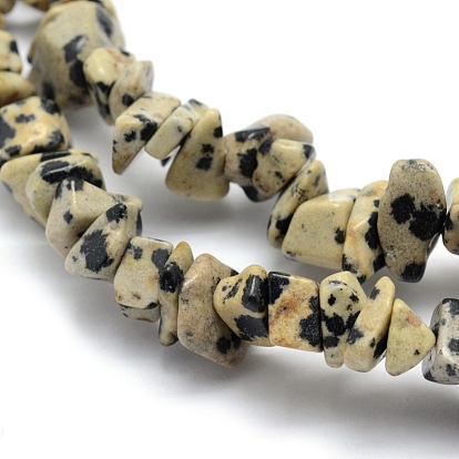 Natural Dalmatian Jasper Beads Strands, Chip