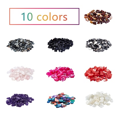 Gemstone Beads and Dyed Shell Beads, Chip