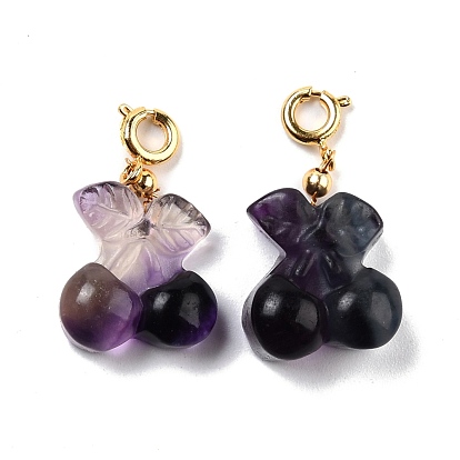 Natural Fluorite Carved Pendants, with Golden Plated Brass Findings and Enamel, Mixed Shape