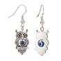 Alloy Charm with Resin Evil Eye Dangle Earring, Brass Jewelry for Women