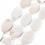 Natural Freshwater Shell Beads Strands, Oval