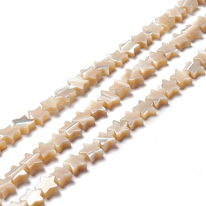 Natural Trochid Shell/Trochus Shell Beads, Star