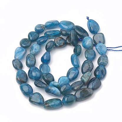 Natural Apatite Beads Strands, Oval