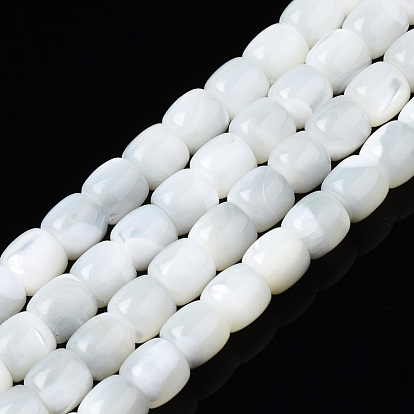Brins de perles de coquille de trochid / trochus shell, eau de Javel, colonne