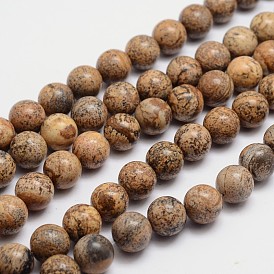 Rondes image naturelle brins jaspe de perles, 6mm, Trou: 1mm, Environ 65 pcs/chapelet, 15.74 pouce
