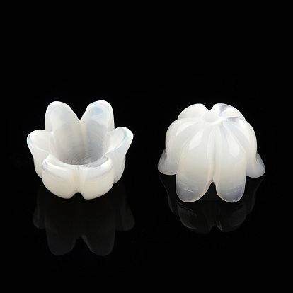Natural White Shell Bead Caps, 6-Petal, Lily of the Valley