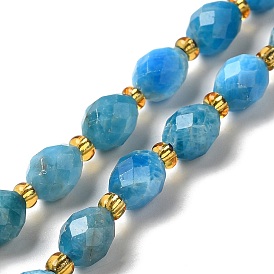 Perles naturelles apatite brins, avec des perles de rocaille, facette, ovale