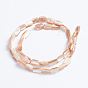 Natural Sea Shell Beads Strands, Rectangle