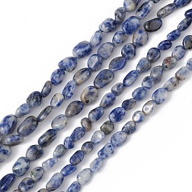 Perles de jaspe tache bleue naturelle, puce