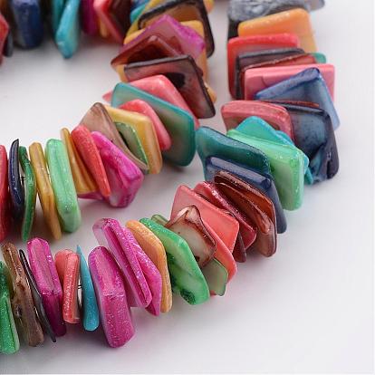 Natural Shell Bead Strands, Dyed, Rectangle