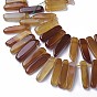 Dyed Natural Agate Beads Strands, Tusk Shape