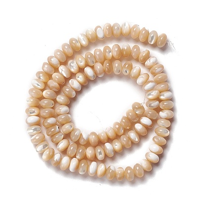 Natural Trochid Shell/Trochus Shell Beads Strands, Abacus Beads, Rondelle