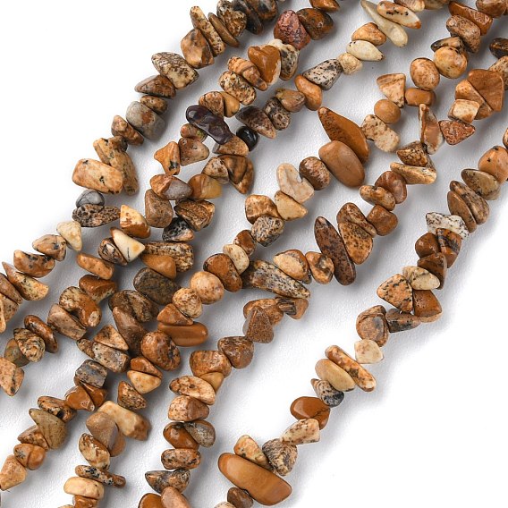 Natural Picture Jasper Beads Strands, Chip