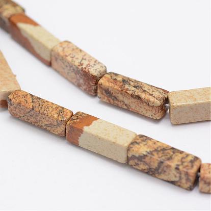 Natural Picture Jasper Beads Strands, Cuboid