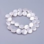 Shell Pearl Beads Strands, Flat Round