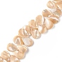 Natural Trochid Shell/Trochus Shell Beads, Top Drilled Beads, Teardrop