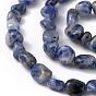Natural Blue Spot Jasper Beads Strands, Chip