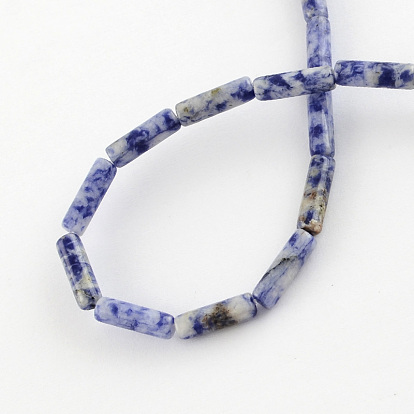 Perles naturelles de pierres précieuses de tache bleue brins, Tube, 13x4~5mm, Trou: 1mm, Environ 27~30 pcs/chapelet, 15.3 pouce