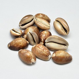 Perles ovales en coquillage cauri naturel