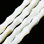 Natural Freshwater Shell Beads Strands, Bamboo Stick
