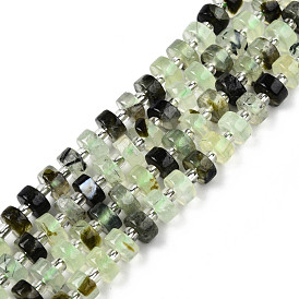 Perles naturelles préhnite brins, avec des perles de rocaille, perles heishi, Plat rond / disque