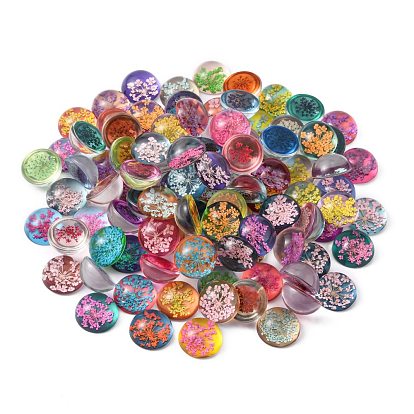 Handmade Glass Flat Back Cabochons, with Dried Flower, Dome/Half Round