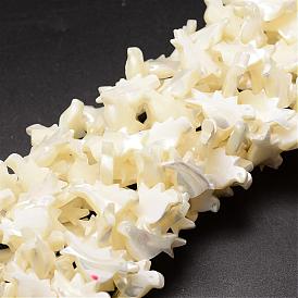 Natural Trochid Shell/Trochus Shell Beads Strands, Bird, 12x21x4mm, Hole: 1mm, about 37pcs/strand, 16.14 inch