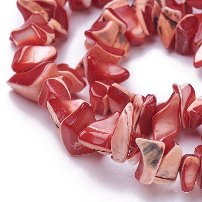 Freshwater Shell Beads Strands, Chip, Dyed