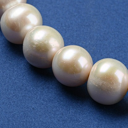 Natural Cultured Freshwater PearlBeads Strands, Round