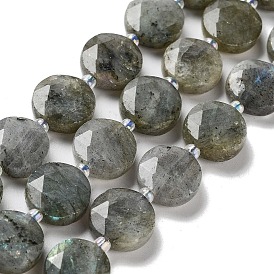 Natural Labradorite Beads Strands, with Seed Beads, Faceted Hexagonal Cut, Flat Round