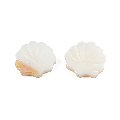 Perles de coquillages naturels d'eau douce, forme de pétoncle