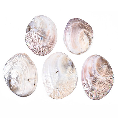 Natural Freshwater Shell Display Decorations, Carved Fish Pattern