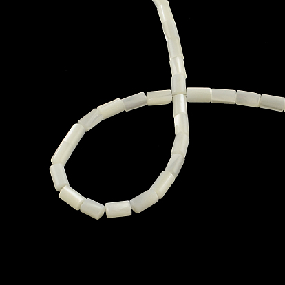 Columna de concha de troquídea natural / hebras de cuentas de concha de troco, 5~6x3.5 mm, agujero: 0.5 mm, sobre 68 unidades / cadena, 15.7 pulgada