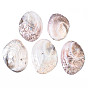 Natural Freshwater Shell Display Decorations, Carved Fish Pattern