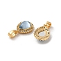 Brass Micro Pave Clear Cubic Zirconia Teardrop Charms, with Resin
