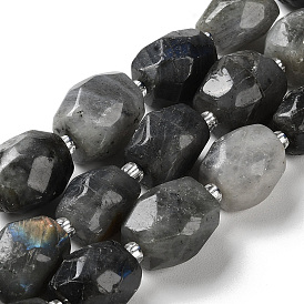 Natural Labradorite Beads Strands, Nuggets, Faceted, with Seed Beads