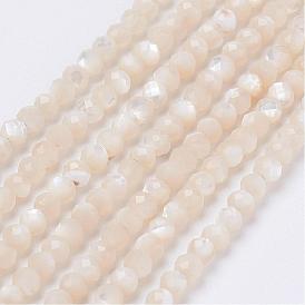 Chapelets de perles de coquillage naturel, ronde, facette, ronde