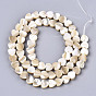 Natural Trochid Shell/Trochus Shell Beads, Heart
