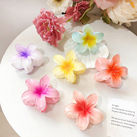 Retro Colorful Flower Hair Clip Set for Updo Hairstyles and Showers