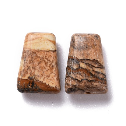 Natural Picture Jasper Beads, Faceted, Trapezoid
