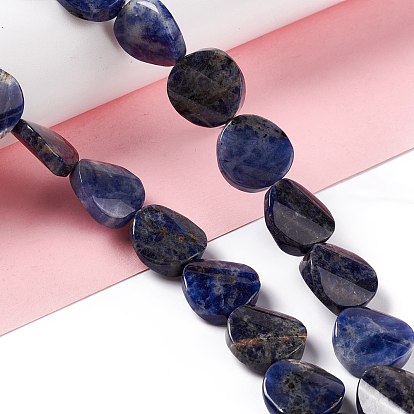 Natural Sodalite Beads Strands, Twist Flat Round