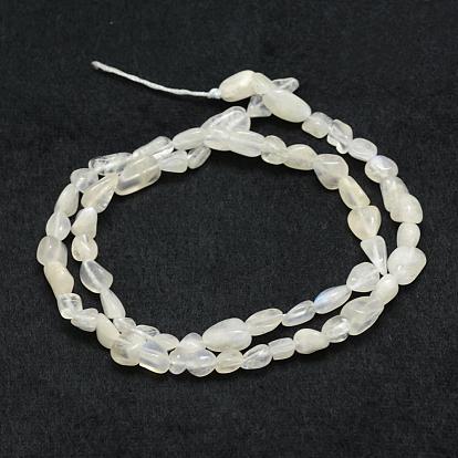 Natural Rainbow Moonstone Beads Strands, Tumbled Stone, Nuggets