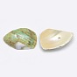Dyed Natural Spiral Shell Chips Beads, Shell Shards, 10~20x6~15mm, Hole: 1mm, about 700pcs/500g