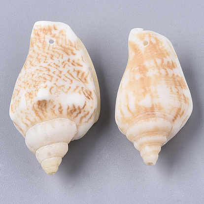 Natural Spiral Shell Pendants