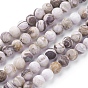 Petrificados perlas de madera hebras naturales, esmerilado, rondo