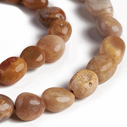 Natural Fossil Coral Beads Strands, Tumbled Stone, Nuggets