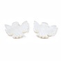 Natural Freshwater Shell Beads, Pigeon