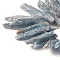 Brins de cyanite naturelle / cyanite / perles de disthène, nuggets, forme croc
